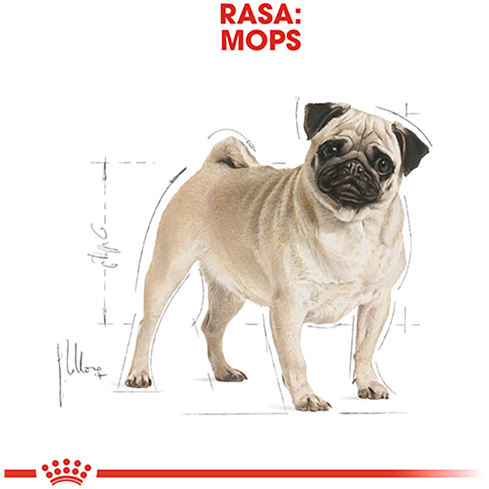 Hrana uscata pentru caini ROYAL CANIN BHN Pug, Adult, Pasare, 1.5 kg
