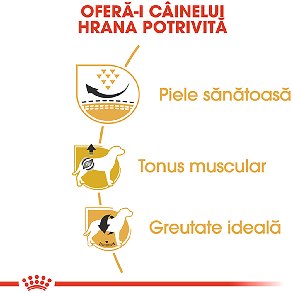 Hrana uscata pentru caini ROYAL CANIN BHN Pug, Adult, Pasare, 1.5 kg
