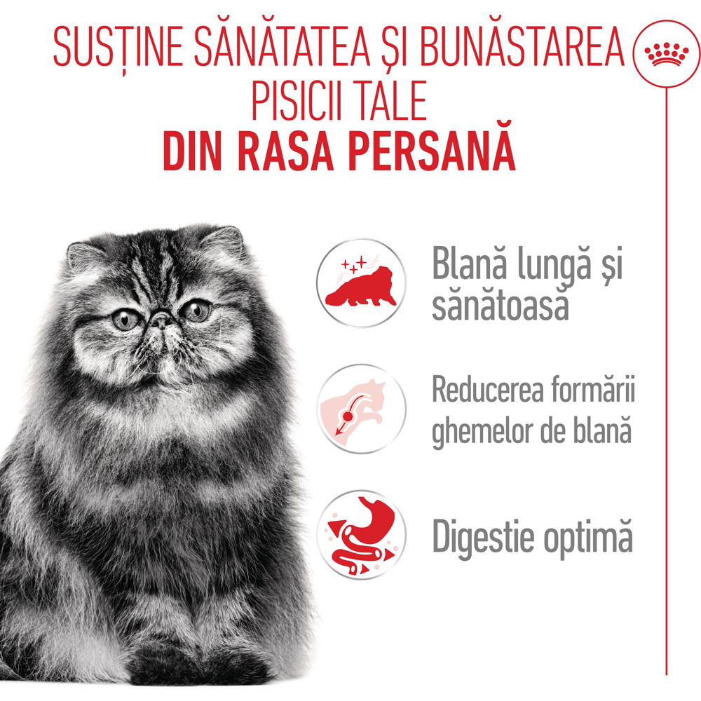 Hrana uscata pentru pisici ROYAL CANIN FBN Persian, Adult, Pasare, 2 kg