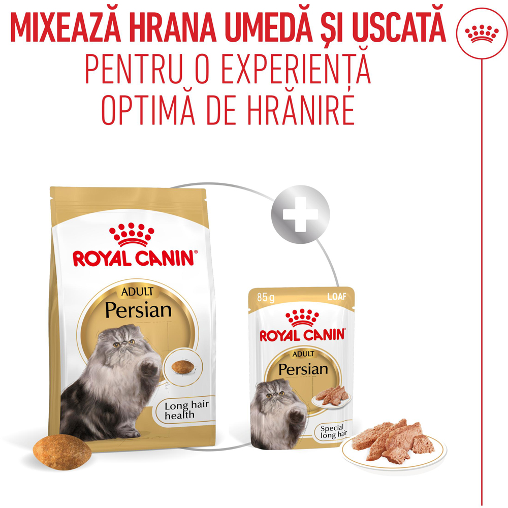 Hrana uscata pentru pisici ROYAL CANIN FBN Persian, Adult, Pasare, 2 kg