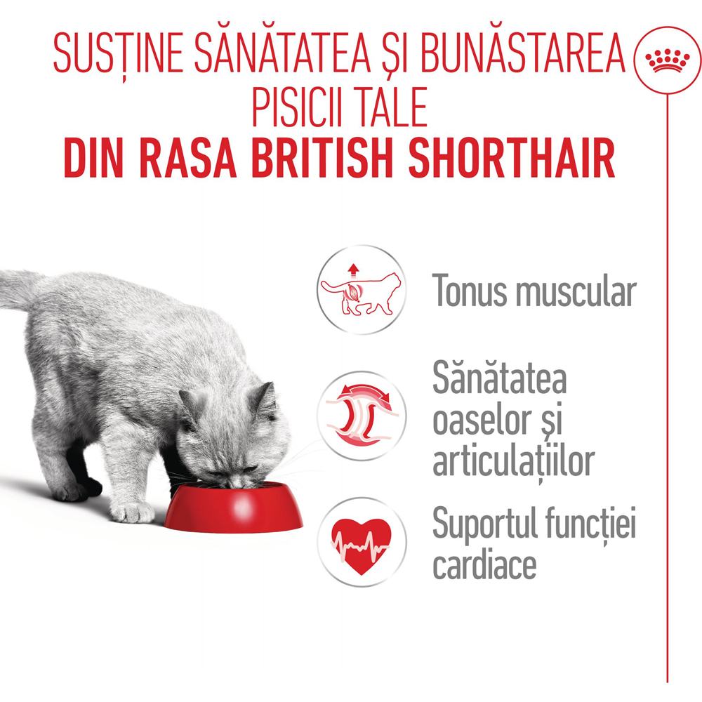 Hrana uscata pentru pisici ROYAL CANIN FBN British Shorthair, Adult, Pasare, 400 g