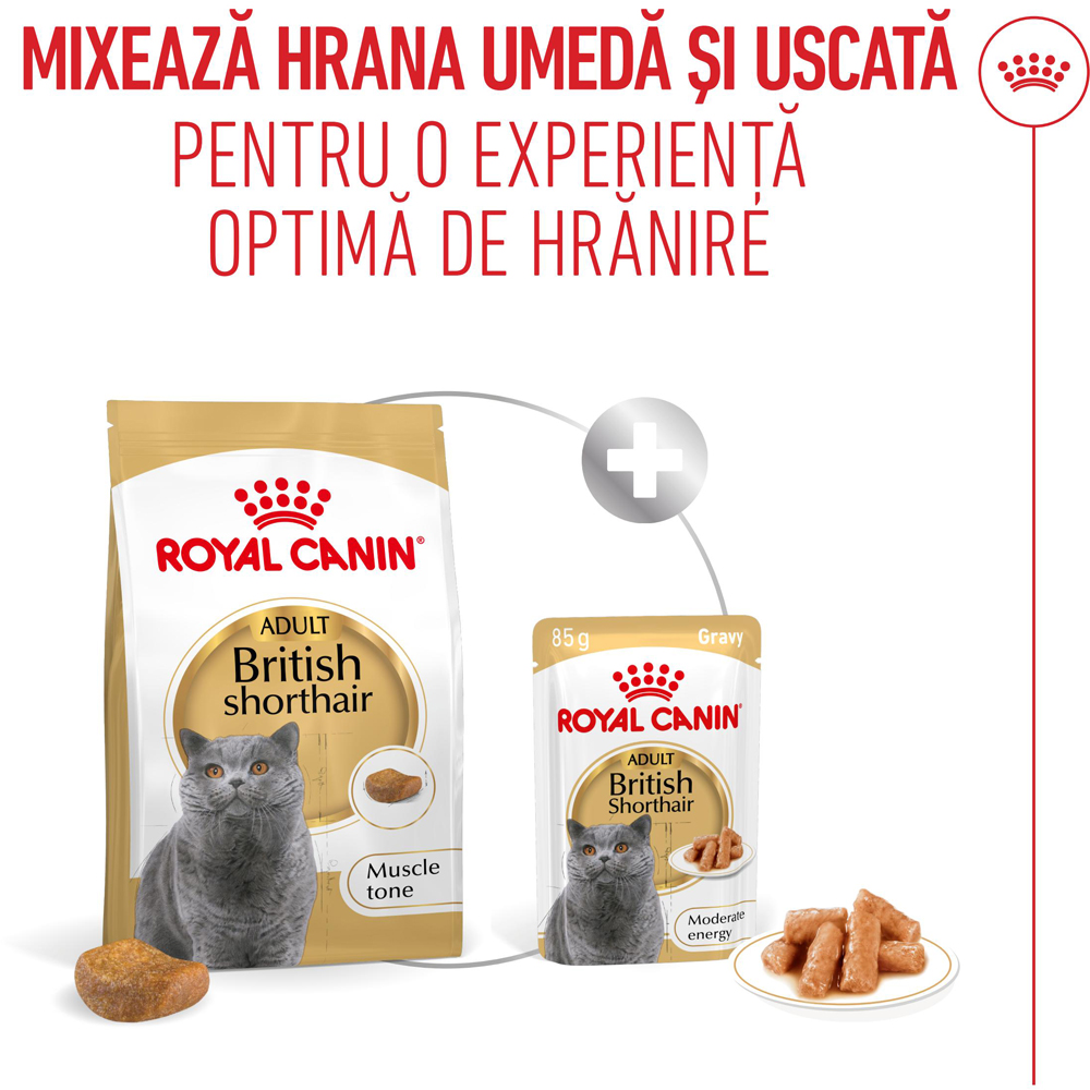 Hrana uscata pentru pisici ROYAL CANIN FBN British Shorthair, Adult, Pasare, 400 g