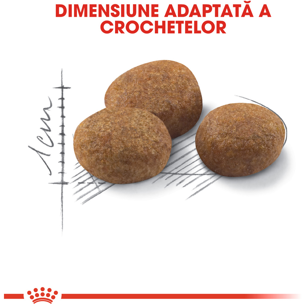 Hrana uscata pentru pisici ROYAL CANIN FHN Sterilised 7+, Senior, Pasare, 1.5 kg
