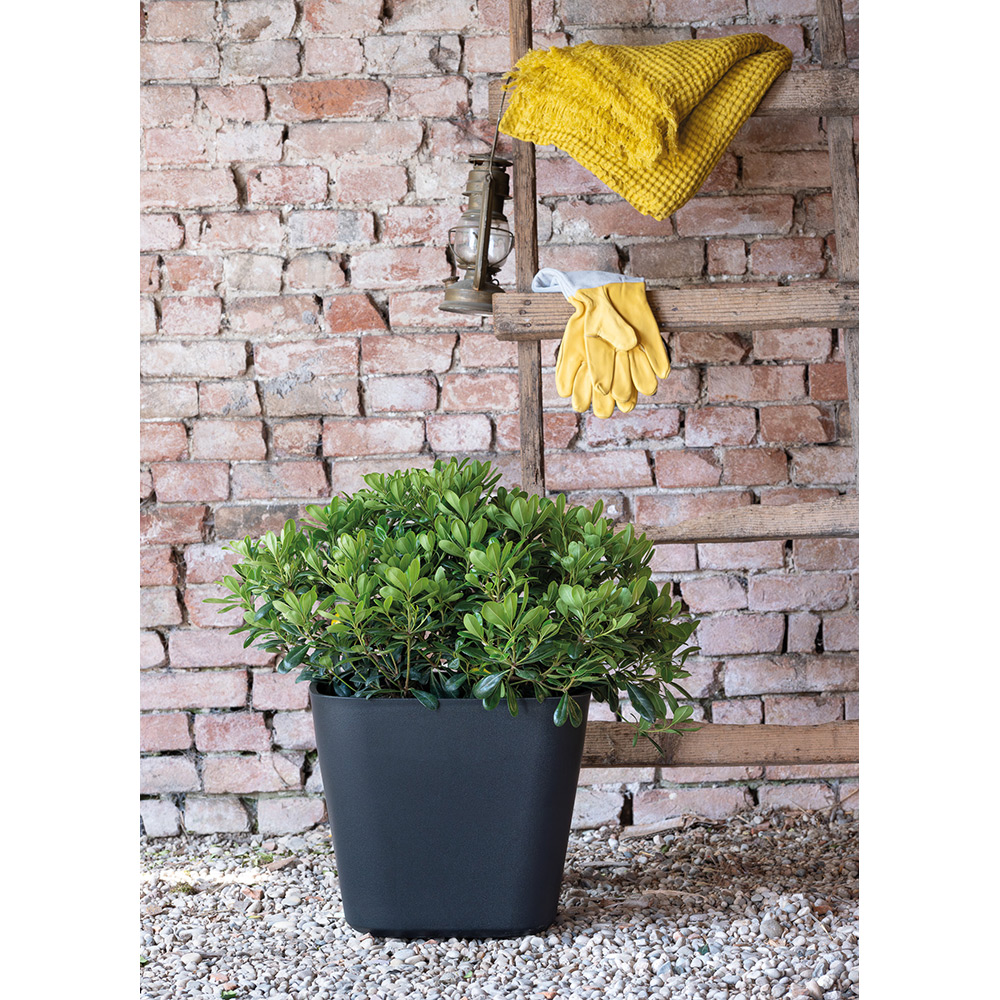 Ghiveci plante DEROMA Quadro, 27.8 x 27.8 x 23.7 cm, plastic, antracit