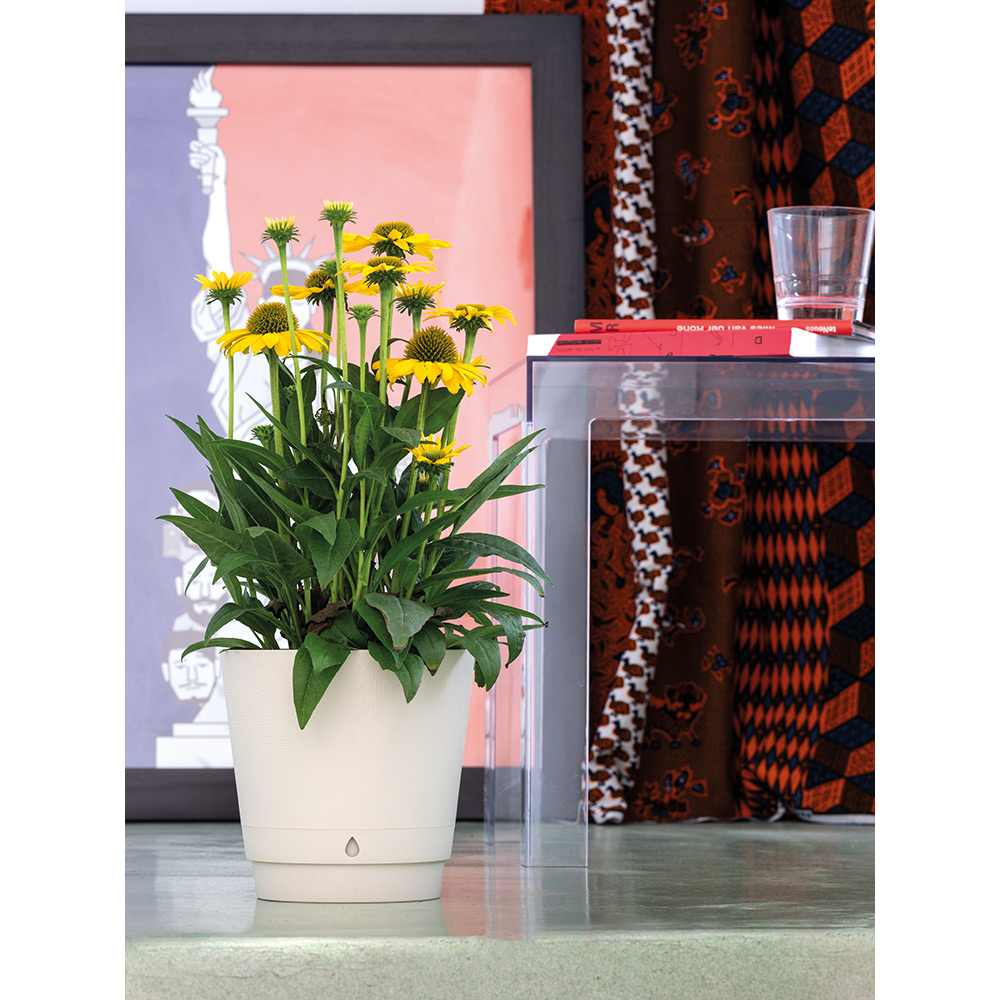 Ghiveci plante DEROMA Dune Pot, D18 cm, plastic, gri