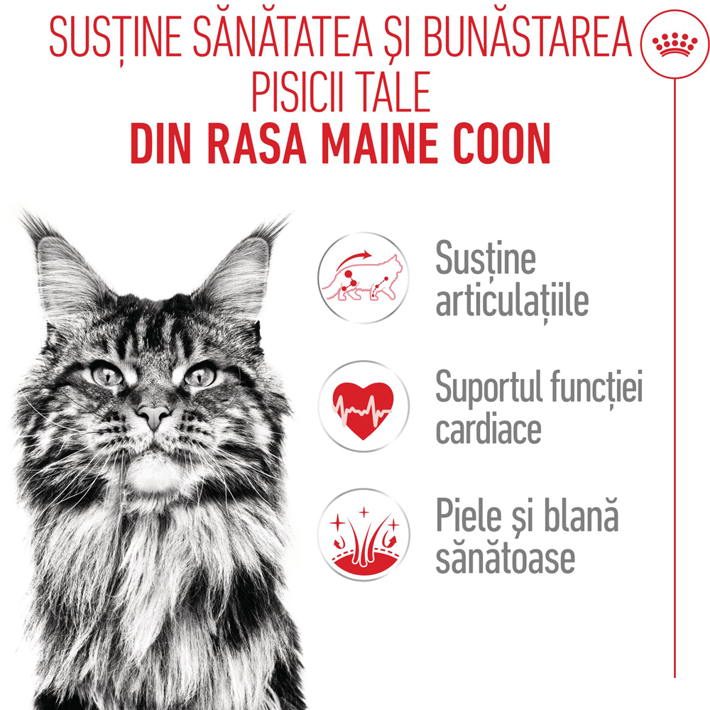 Hrana uscata pentru pisici ROYAL CANIN FBN Maine Coon, Adult, Pasare, 4 kg