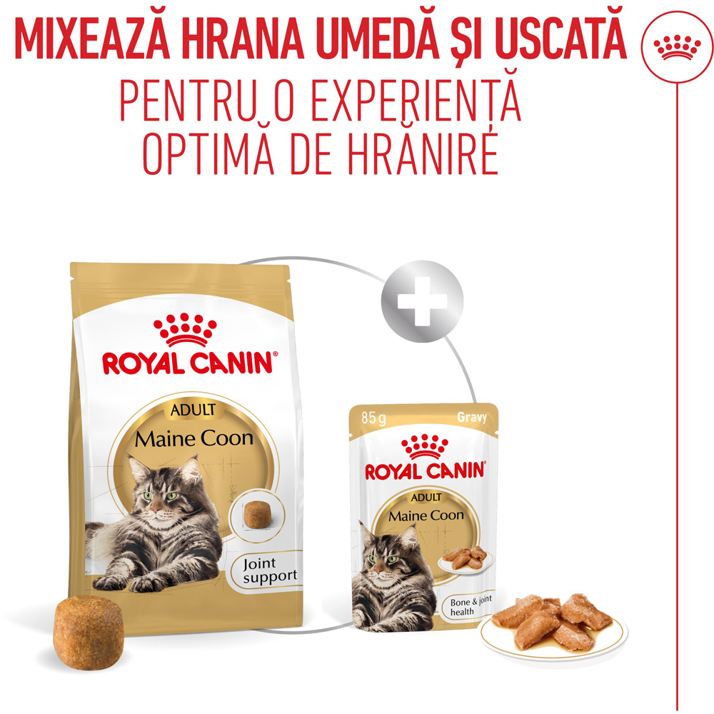 Hrana uscata pentru pisici ROYAL CANIN FBN Maine Coon, Adult, Pasare, 4 kg