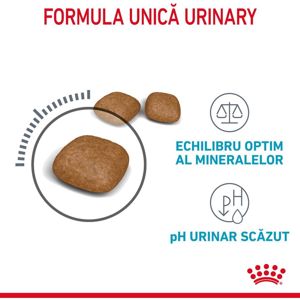 Hrana uscata pentru pisici ROYAL CANIN FCN Urinary Care, Adult, Pasare, 400 g