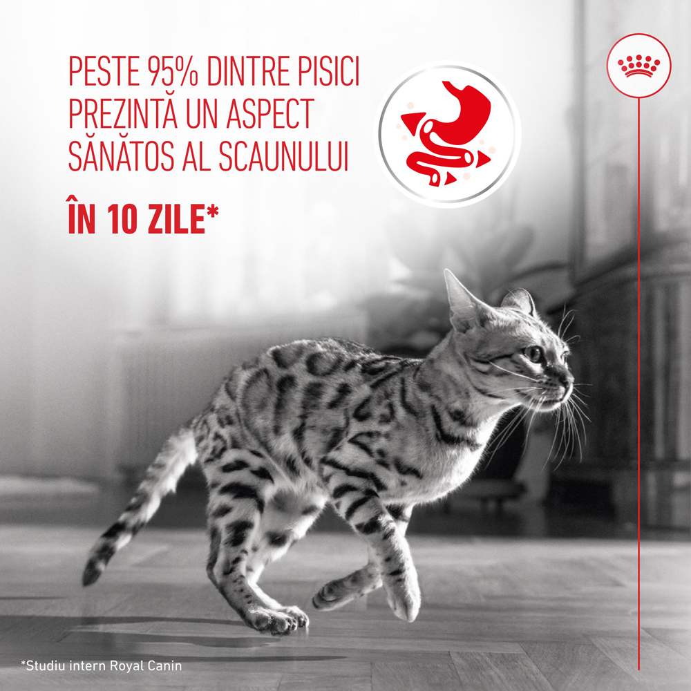Hrana uscata pentru pisici ROYAL CANIN FCN Digestive Care, Adult, Pasare, 400 g