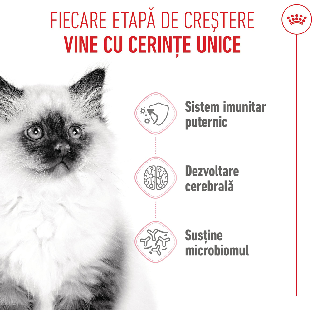 Hrana uscata pentru pisici ROYAL CANIN FHN Kitten, Junior, Pasare, 400 g
