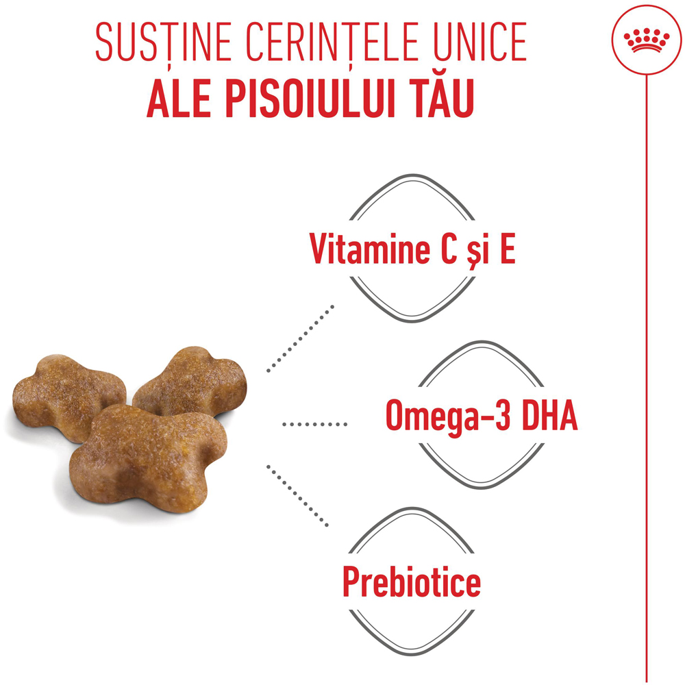 Hrana uscata pentru pisici ROYAL CANIN FHN Kitten, Junior, Pasare, 400 g