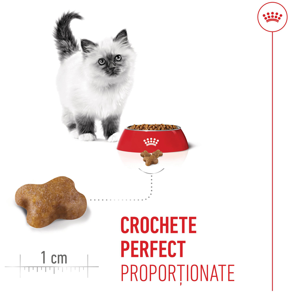 Hrana uscata pentru pisici ROYAL CANIN FHN Kitten, Junior, Pasare, 400 g