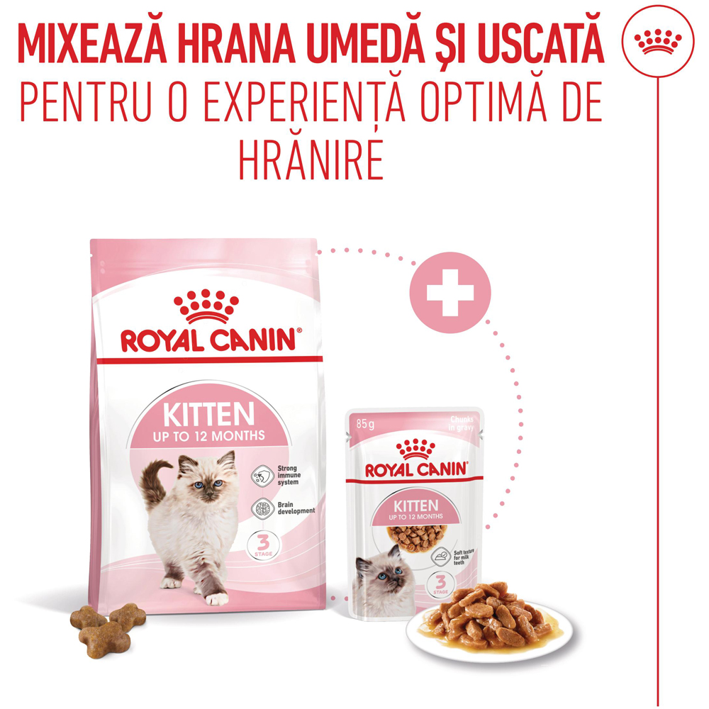 Hrana uscata pentru pisici ROYAL CANIN FHN Kitten, Junior, Pasare, 400 g