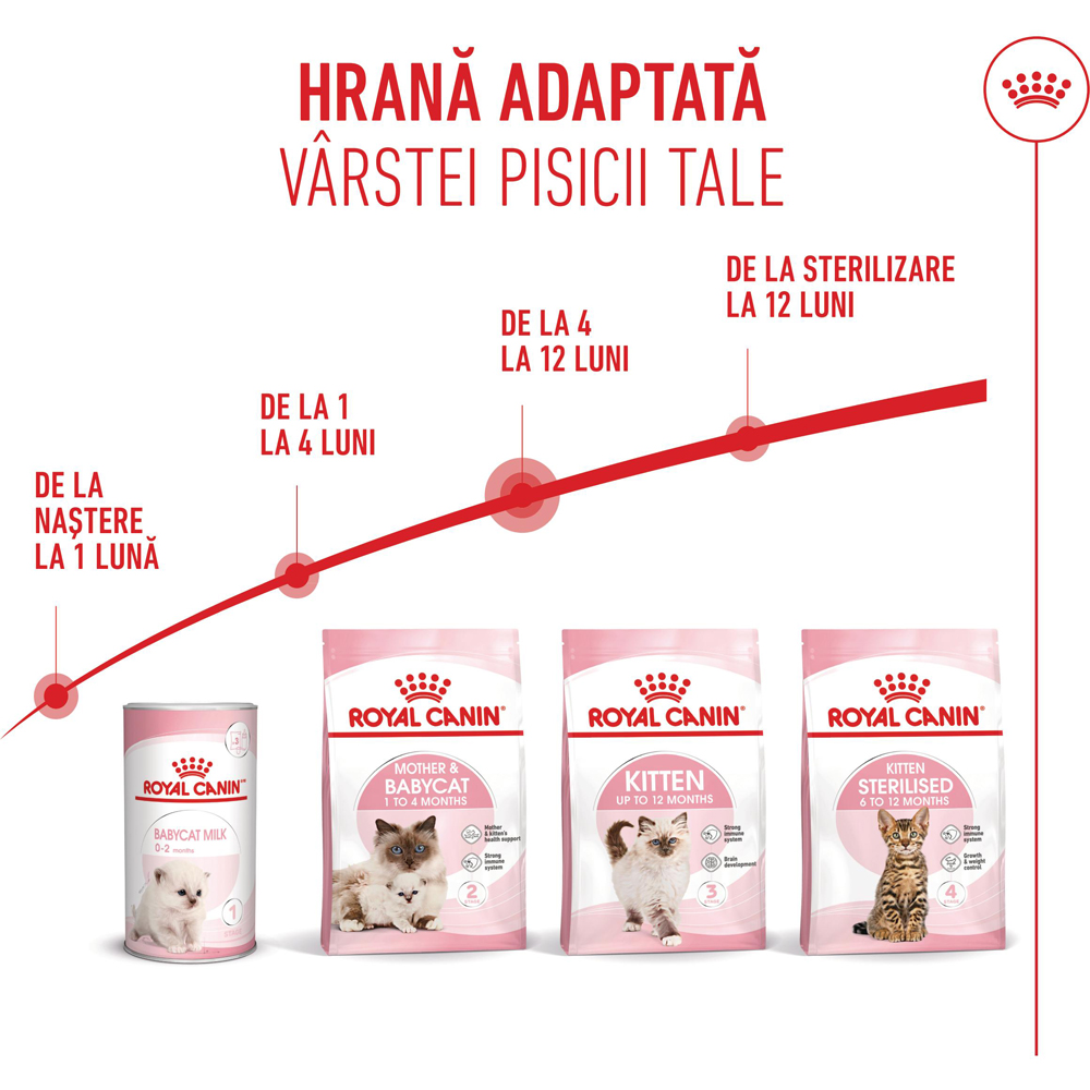 Hrana uscata pentru pisici ROYAL CANIN FHN Kitten, Junior, Pasare, 400 g
