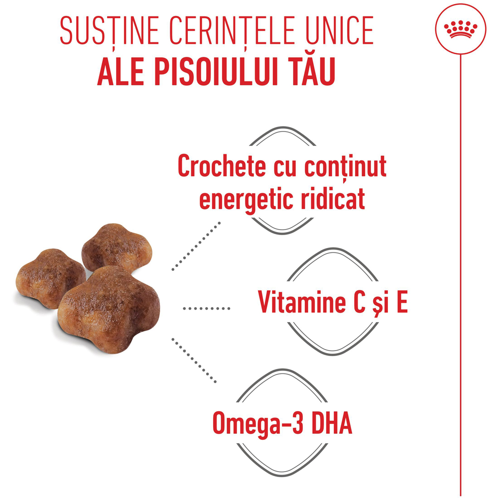 Hrana uscata pentru pisici ROYAL CANIN FHN Mother & Babycat, Junior, Pasare, 400 g