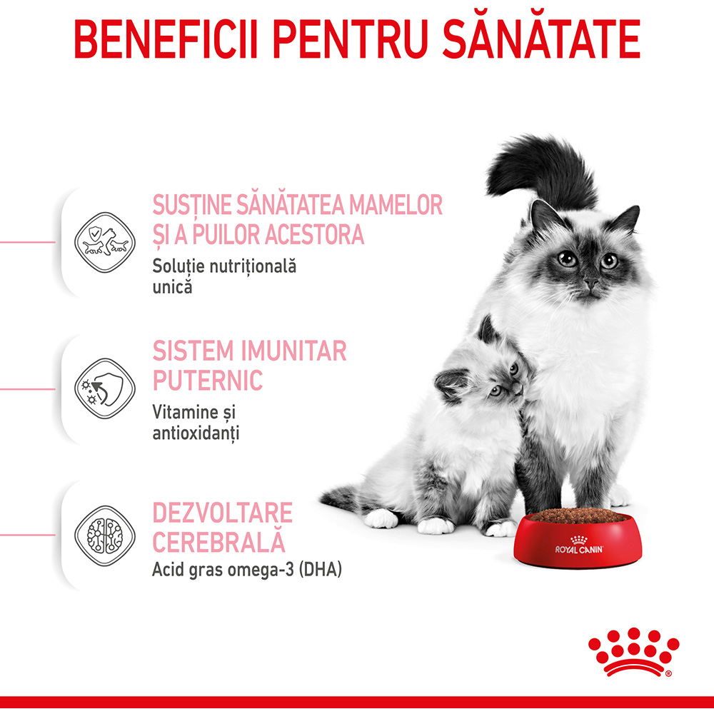 Hrana uscata pentru pisici ROYAL CANIN FHN Mother & Babycat, Junior, Pasare, 400 g