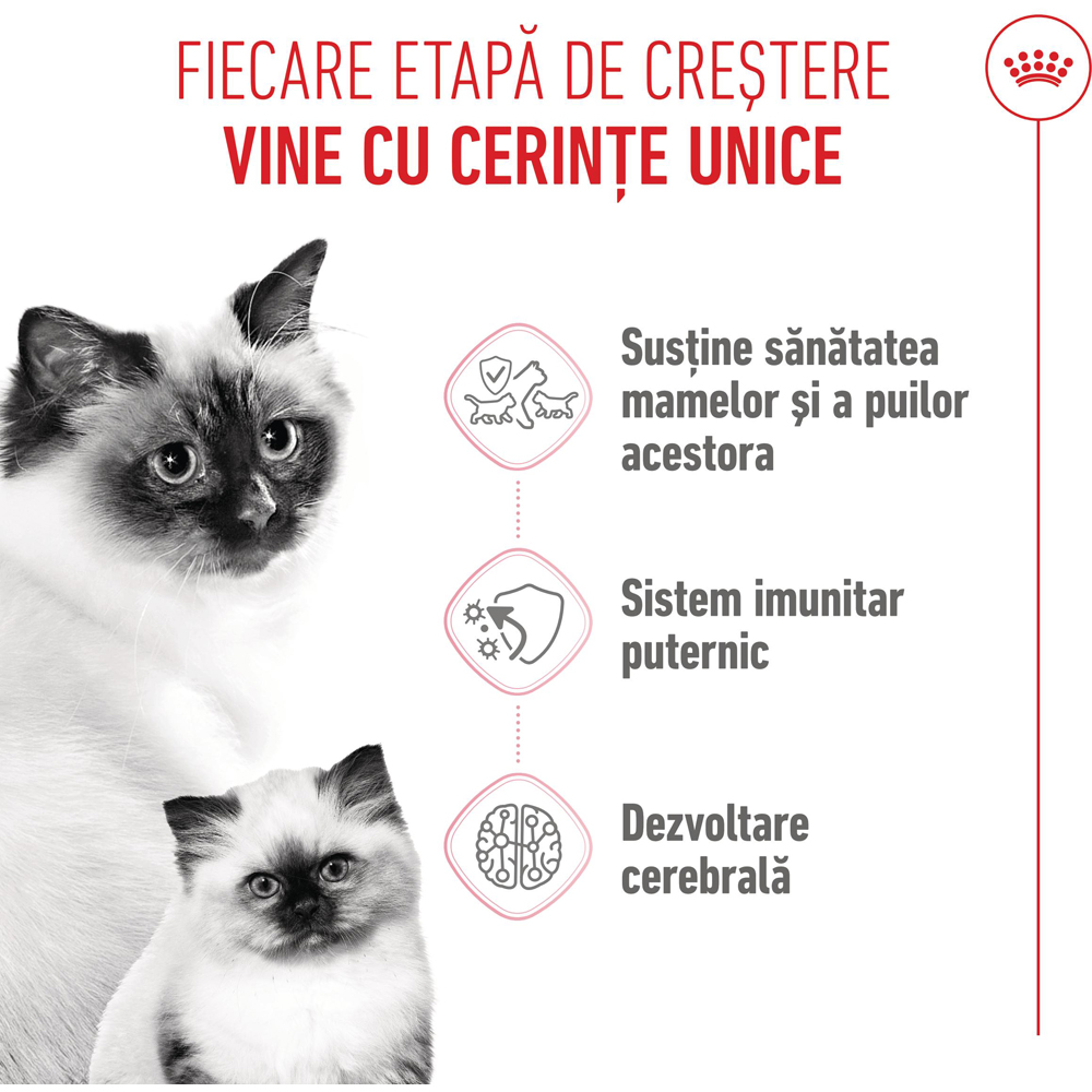Hrana uscata pentru pisici ROYAL CANIN FHN Mother & Babycat, Junior, Pasare, 4 kg