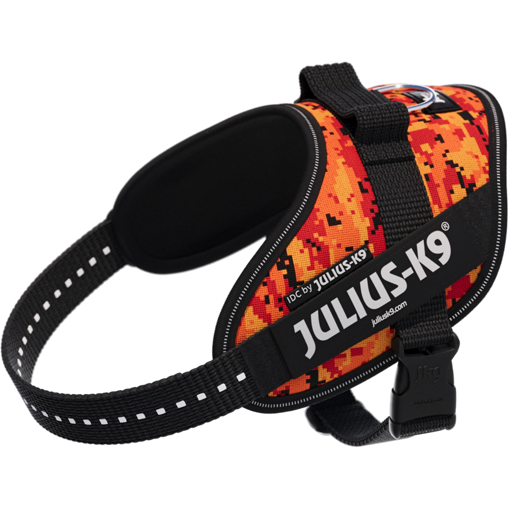 Ham caini JULIUS K-9 IDC Power PixelJuice, marimea S, multicolor