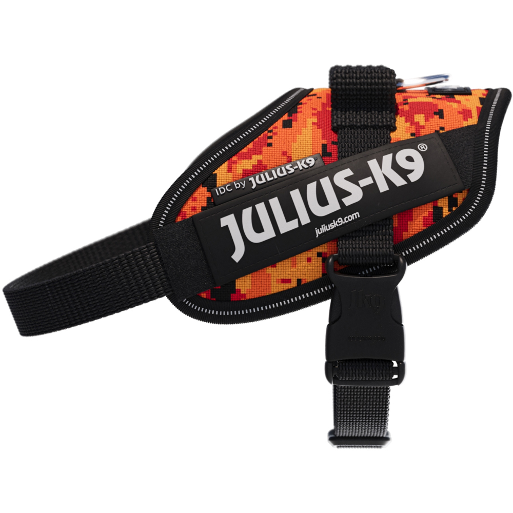 Ham caini JULIUS K-9 IDC Power PixelJuice, marimea XS, multicolor