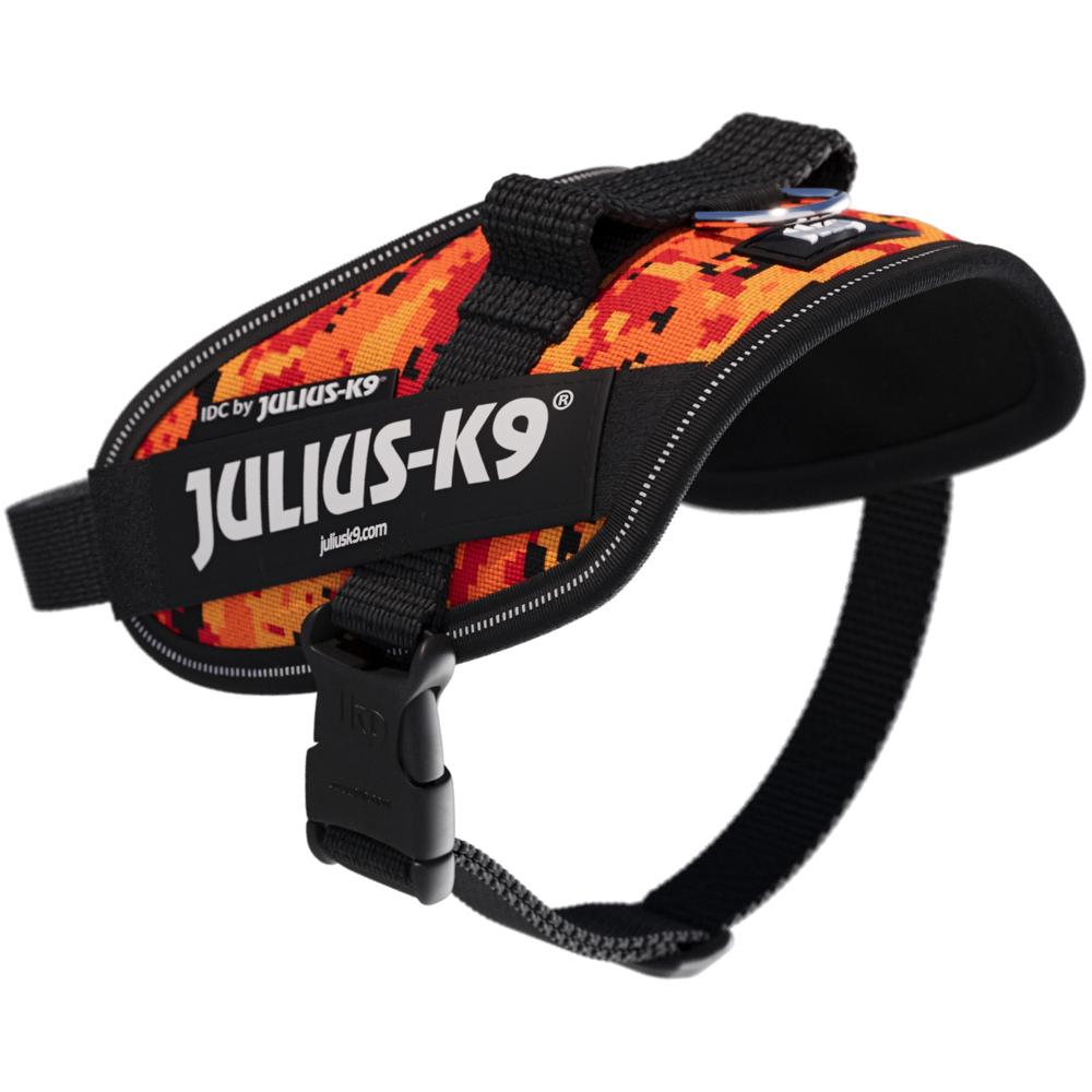 Ham caini JULIUS K-9 IDC Power PixelJuice, marimea XS, multicolor
