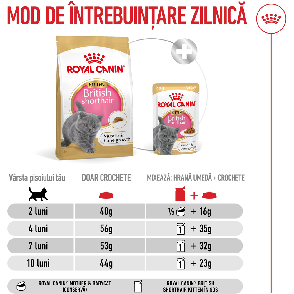 Hrana uscata pentru pisici ROYAL CANIN FBN British Shorthair, Junior, Pasare, 400 g