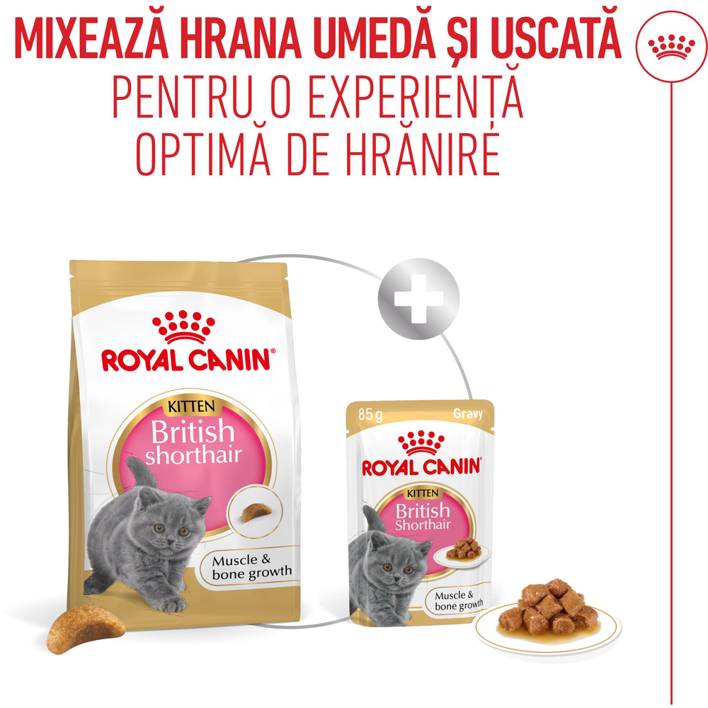 Hrana uscata pentru pisici ROYAL CANIN FBN British Shorthair, Junior, Pasare, 400 g