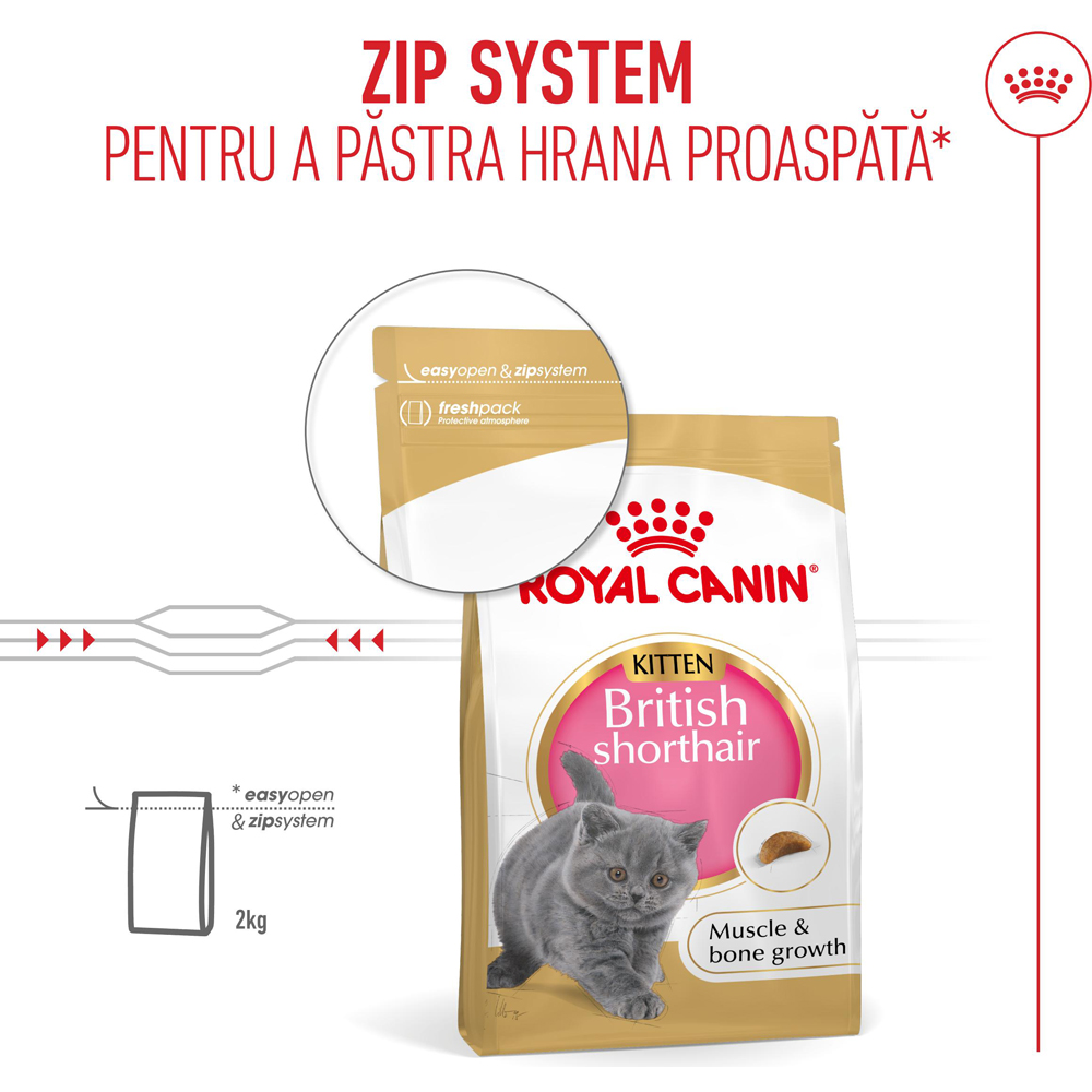 Hrana uscata pentru pisici ROYAL CANIN FBN British Shorthair, Junior, Pasare, 400 g