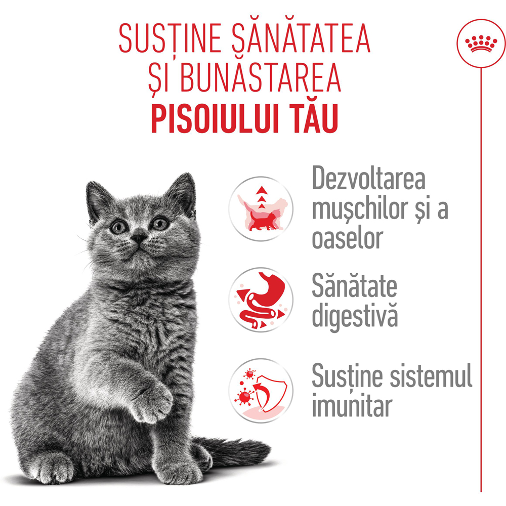 Hrana uscata pentru pisici ROYAL CANIN FBN British Shorthair, Junior, Pasare, 2 kg