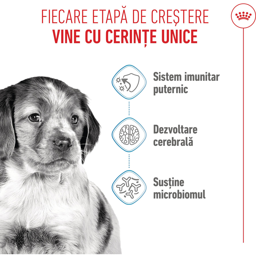 Hrana uscata pentru caini ROYAL CANIN SHN Medium, Junior, Pasare si Porc, 15 kg