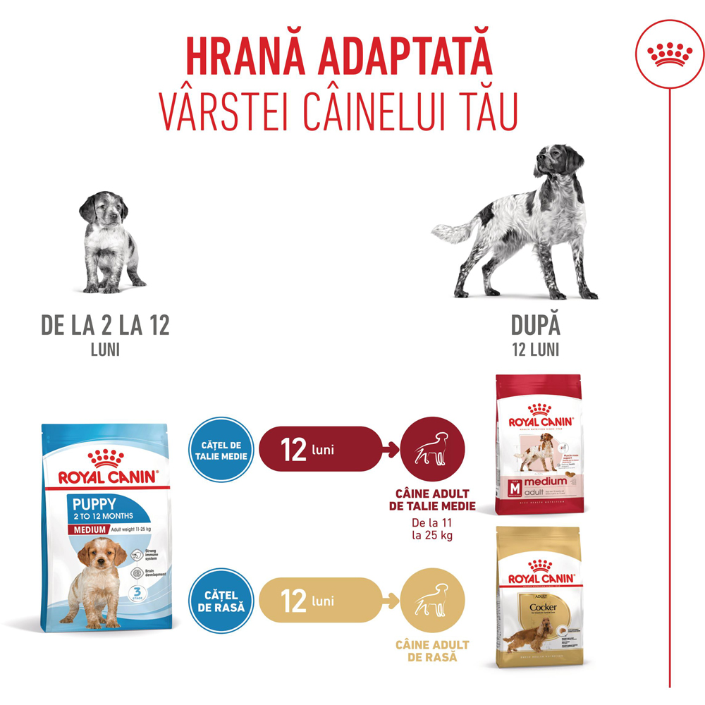 Hrana uscata pentru caini ROYAL CANIN SHN Medium, Junior, Pasare si Porc, 15 kg