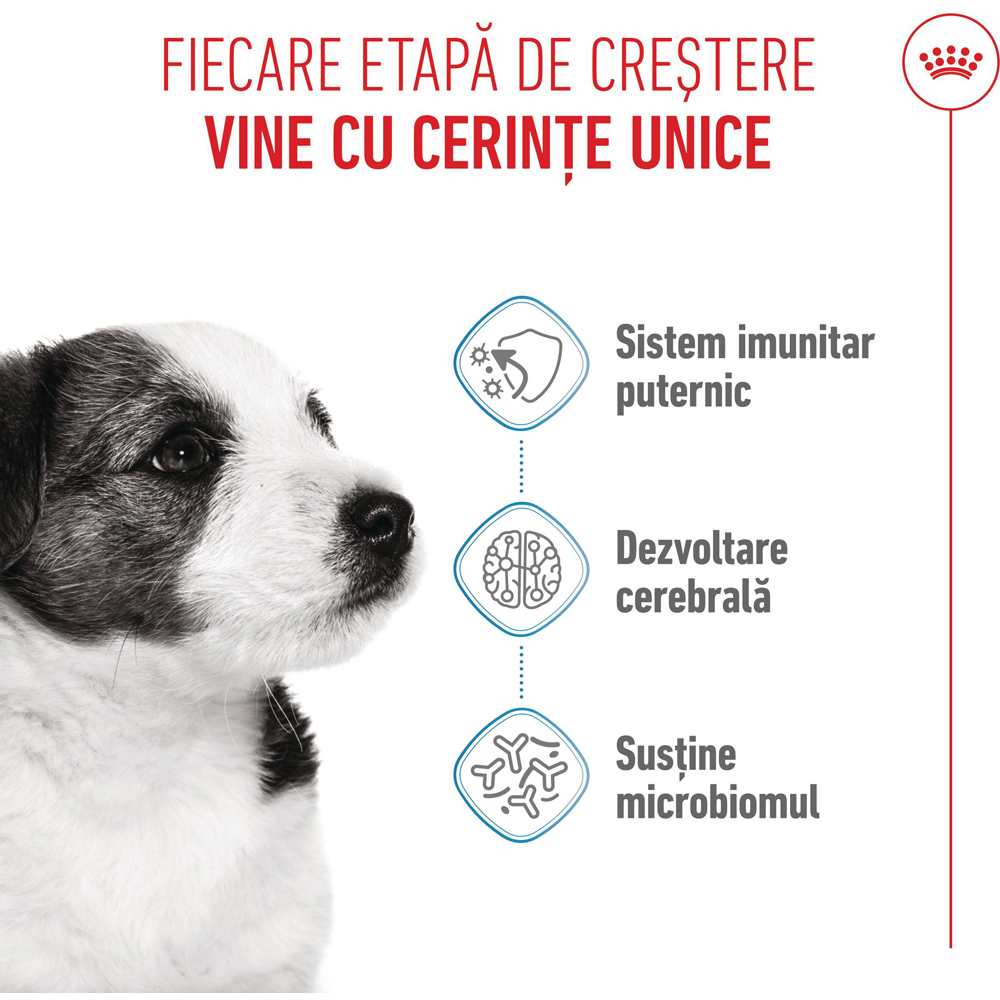 Hrana uscata pentru caini ROYAL CANIN SHN Mini, Junior, Pasare, 800 g