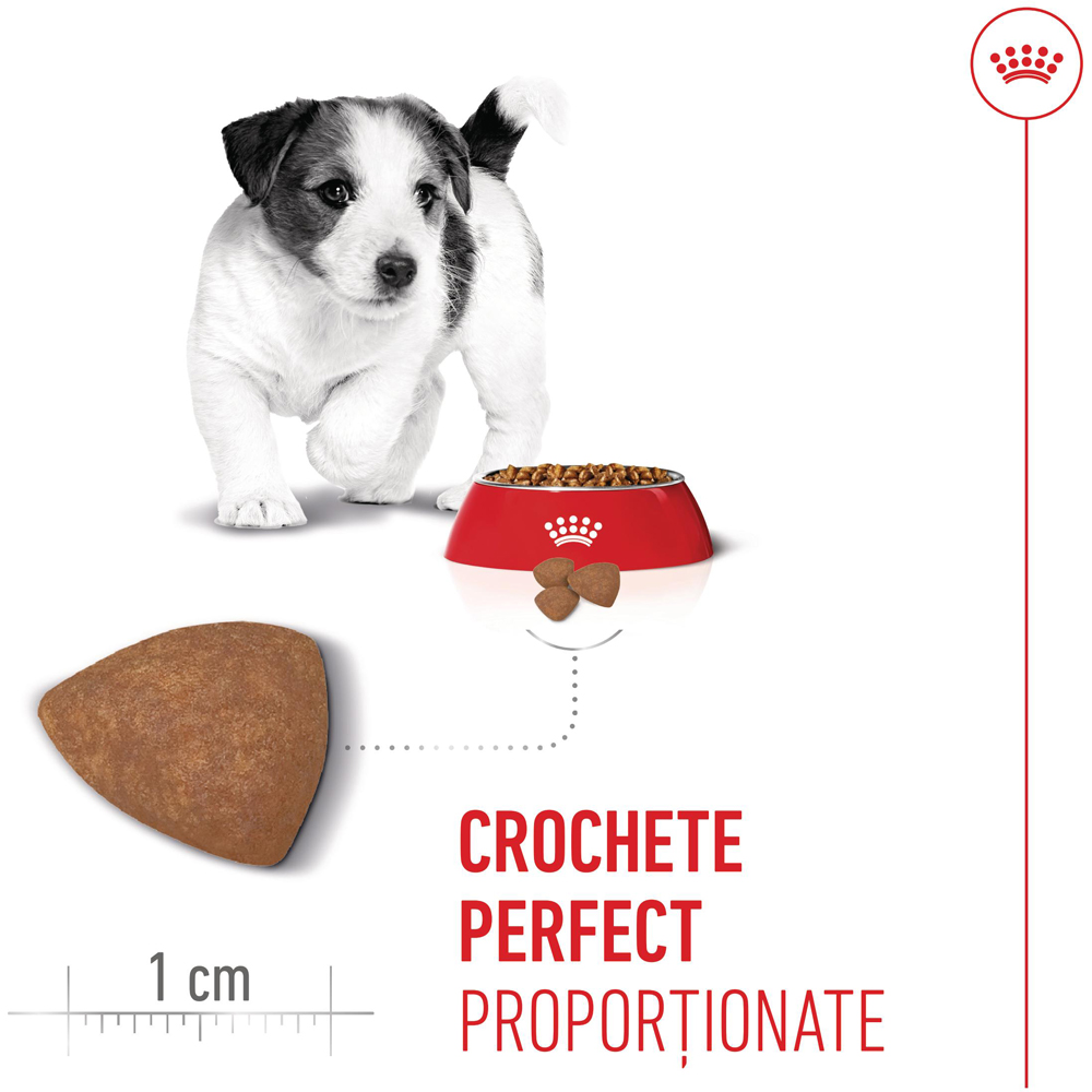 Hrana uscata pentru caini ROYAL CANIN SHN Mini, Junior, Pasare, 800 g