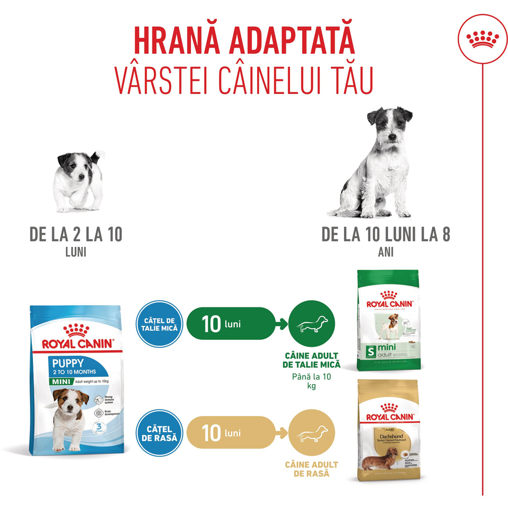 Hrana uscata pentru caini ROYAL CANIN SHN Mini, Junior, Pasare, 800 g