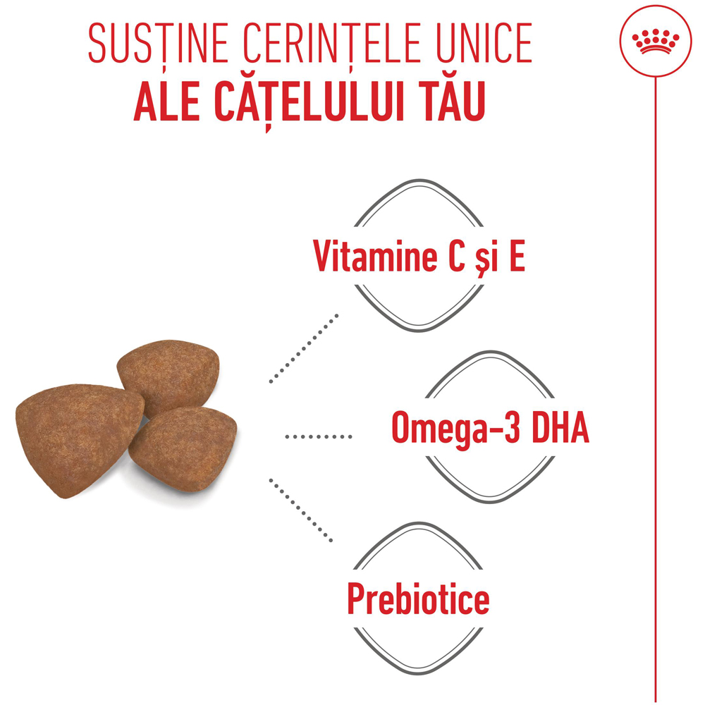 Hrana uscata pentru caini ROYAL CANIN SHN Mini, Junior, Pasare, 8 kg