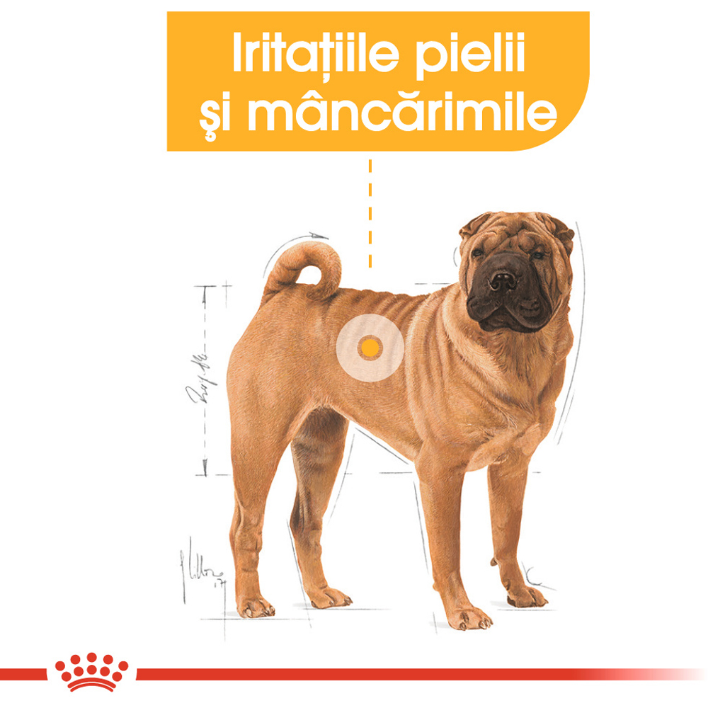 Hrana uscata pentru caini ROYAL CANIN CCN Medium Dermacomfort, Adult, 3 kg