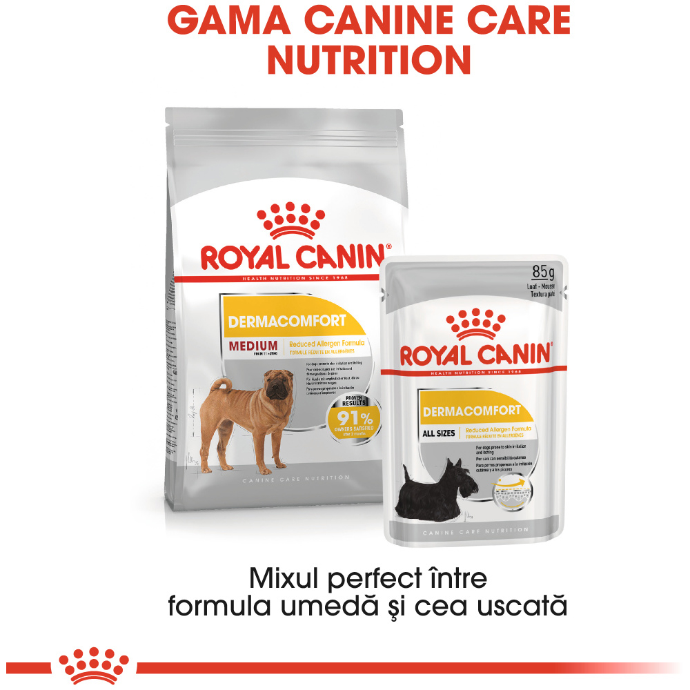 Hrana uscata pentru caini ROYAL CANIN CCN Medium Dermacomfort, Adult, 3 kg