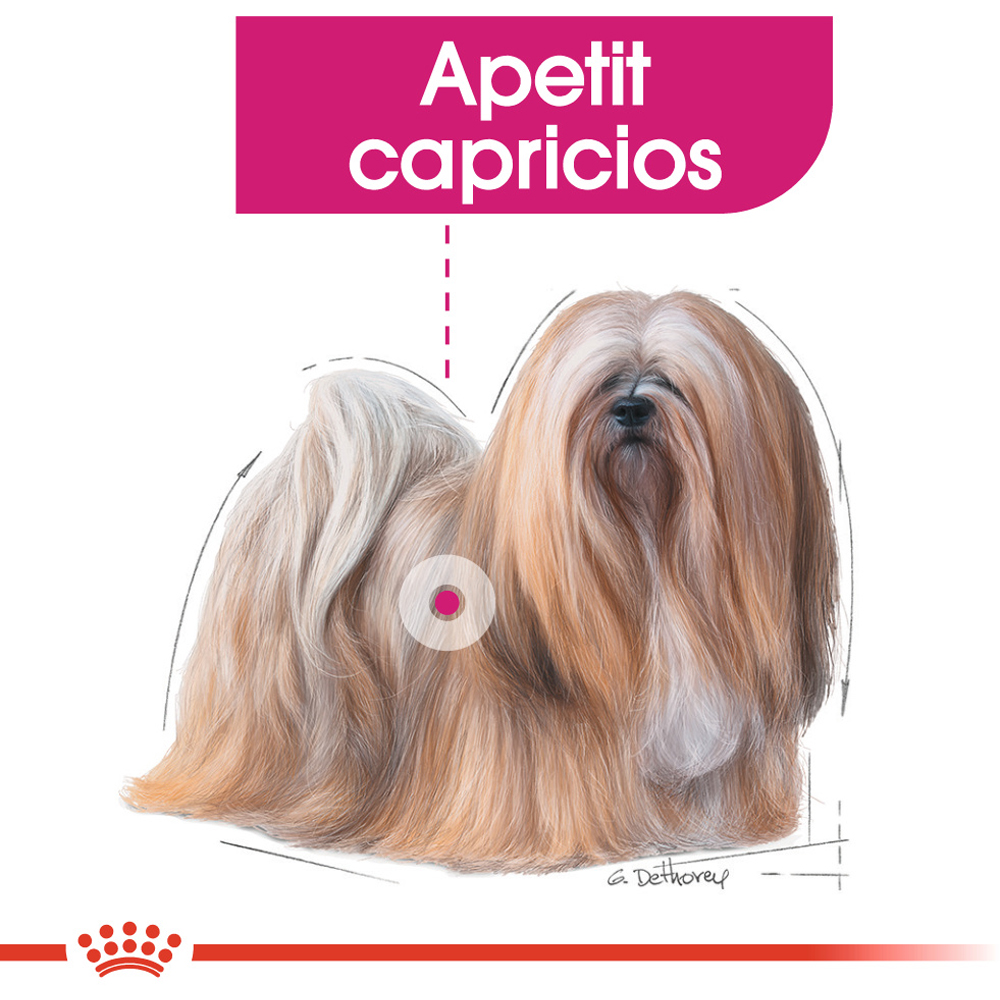 Hrana uscata pentru caini ROYAL CANIN CCN Mini Exigent, Adult, 1 kg