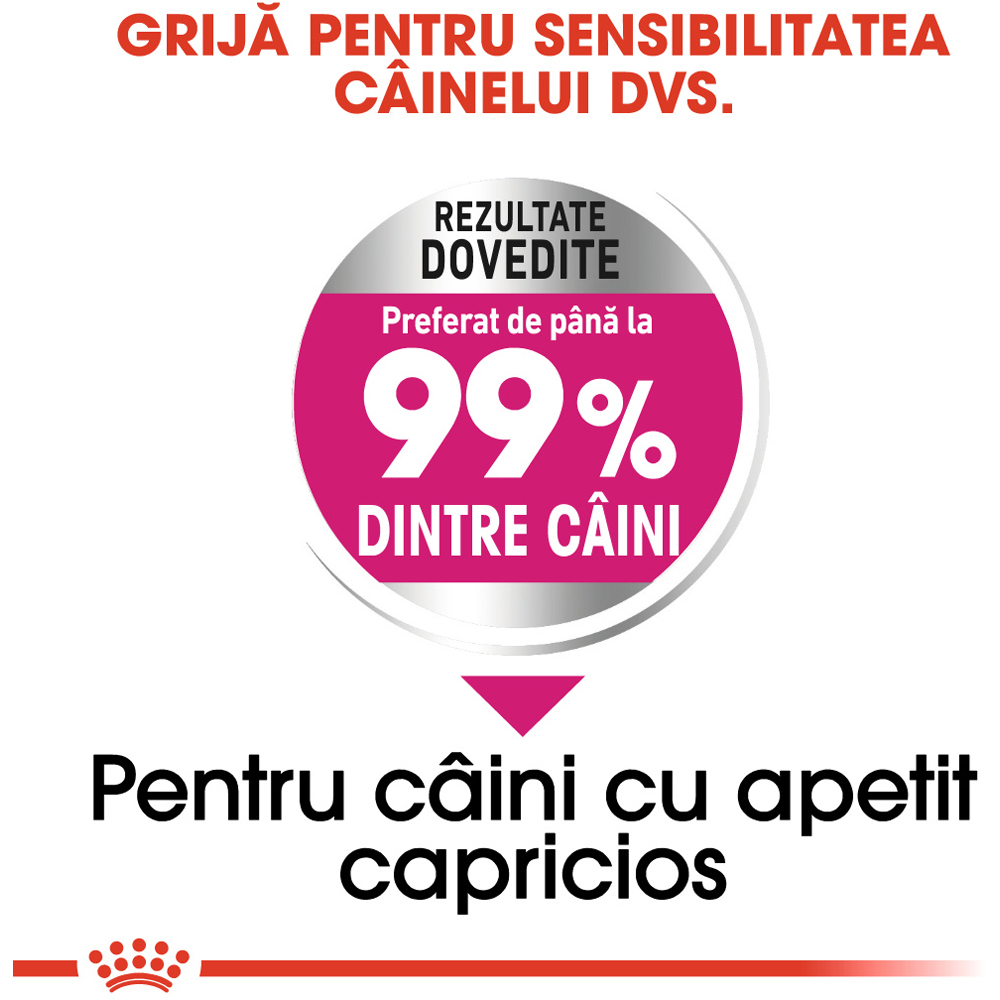 Hrana uscata pentru caini ROYAL CANIN CCN Mini Exigent, Adult, 1 kg