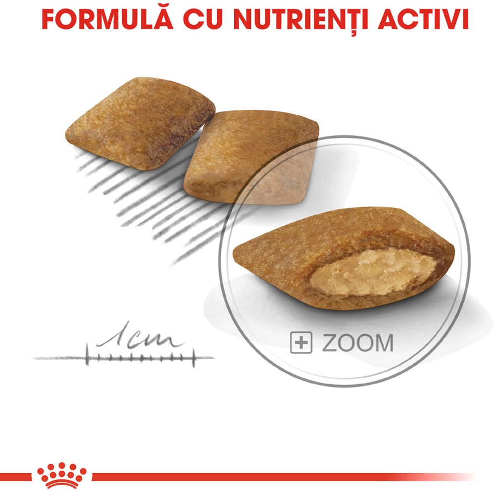 Hrana uscata pentru caini ROYAL CANIN CCN Mini Exigent, Adult, 1 kg