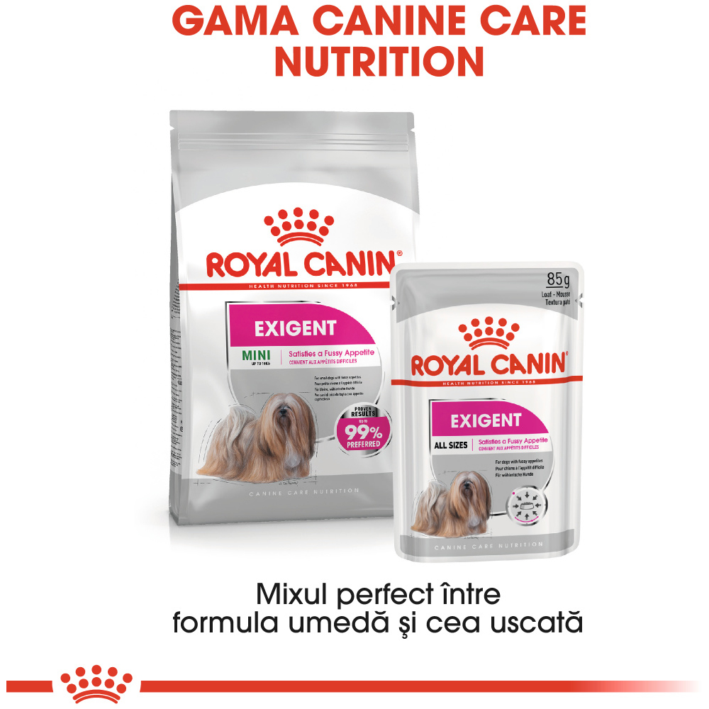 Hrana uscata pentru caini ROYAL CANIN CCN Mini Exigent, Adult, 1 kg