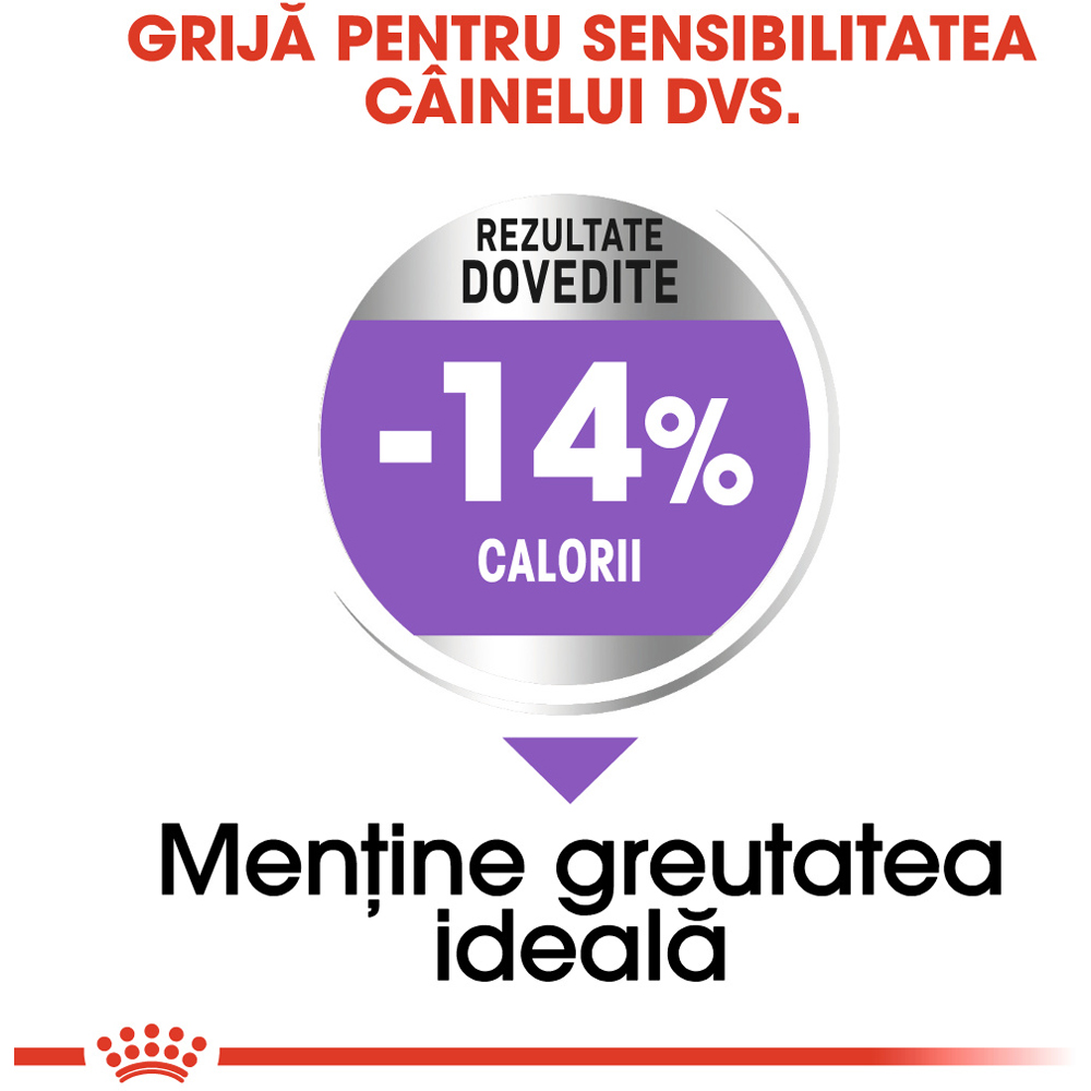 Hrana uscata pentru caini ROYAL CANIN CCN Mini Sterilised, Adult, Pasare, 1 kg