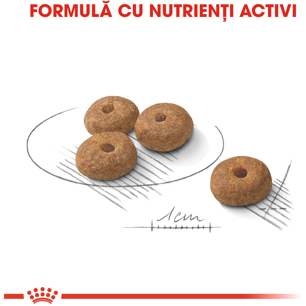 Hrana uscata pentru caini ROYAL CANIN CCN Mini Sterilised, Adult, Pasare, 1 kg
