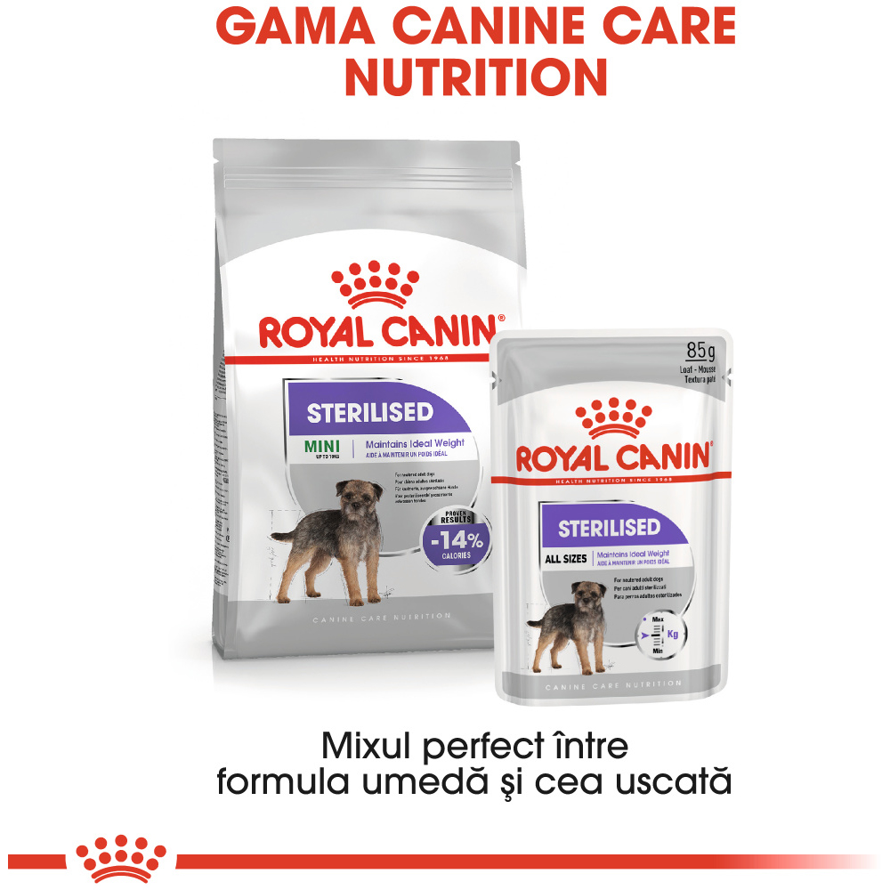Hrana uscata pentru caini ROYAL CANIN CCN Mini Sterilised, Adult, Pasare, 1 kg