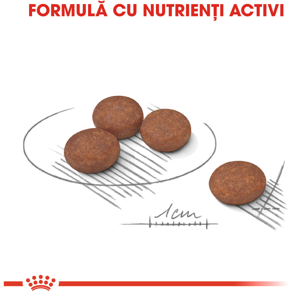 Hrana uscata pentru caini ROYAL CANIN CCN Mini Digestive Care, Adult, Pasare, 8 kg