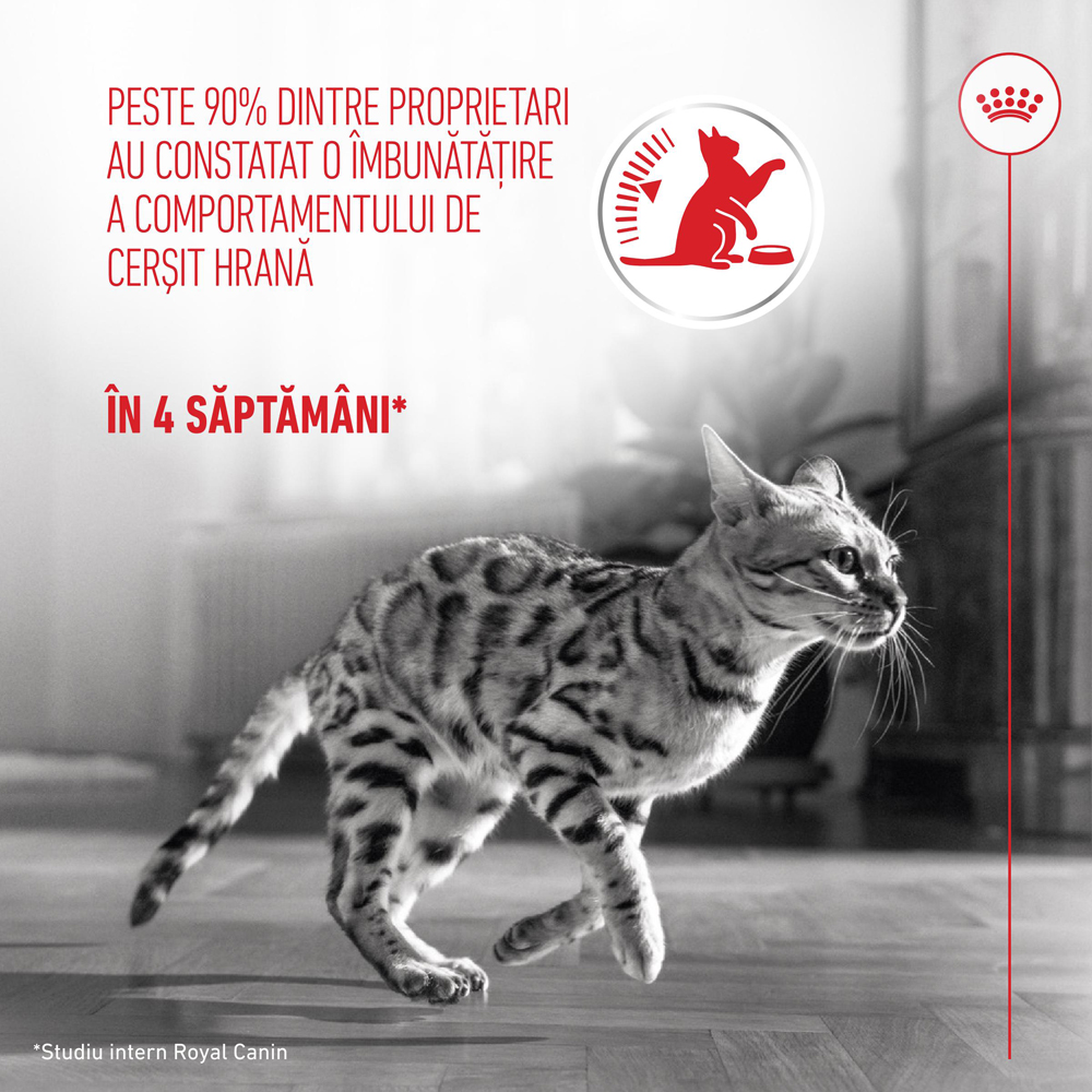 Hrana uscata pentru pisici ROYAL CANIN FCN Appetite Control Care, Adult, Pasare, 2 kg
