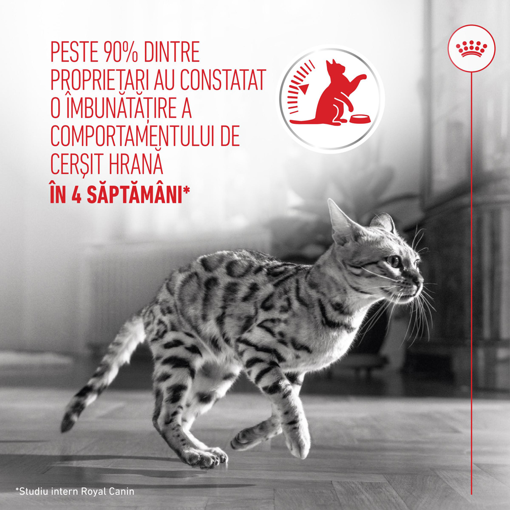 Hrana umeda pentru pisici ROYAL CANIN FCN Appetite Control Care Gravy, Adult, 85 g