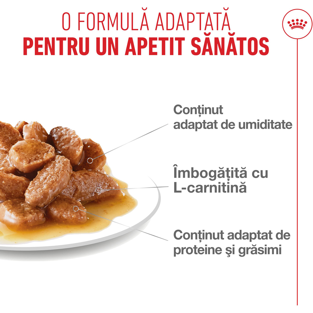 Hrana umeda pentru pisici ROYAL CANIN FCN Appetite Control Care Gravy, Adult, 85 g