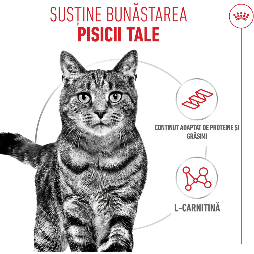 Hrana umeda pentru pisici ROYAL CANIN FCN Appetite Control Care Gravy, Adult, 85 g
