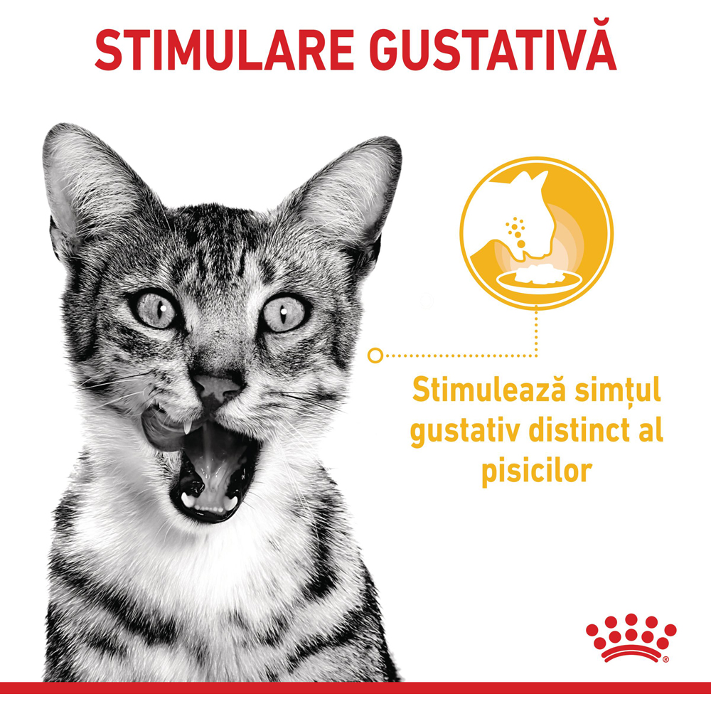 Hrana umeda pentru pisici ROYAL CANIN FHN Sensory Taste Gravy, Adult, 85 g