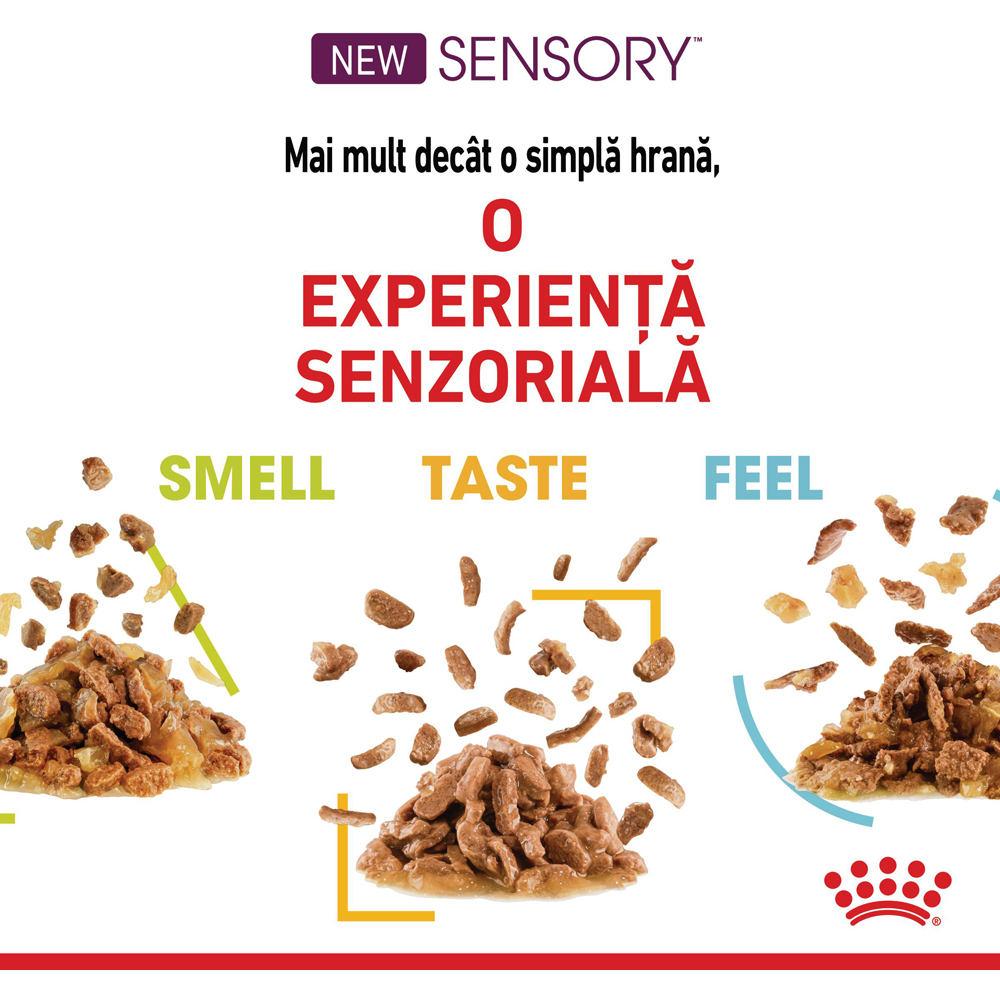 Hrana umeda pentru pisici ROYAL CANIN FHN Sensory Taste Gravy, Adult, 85 g